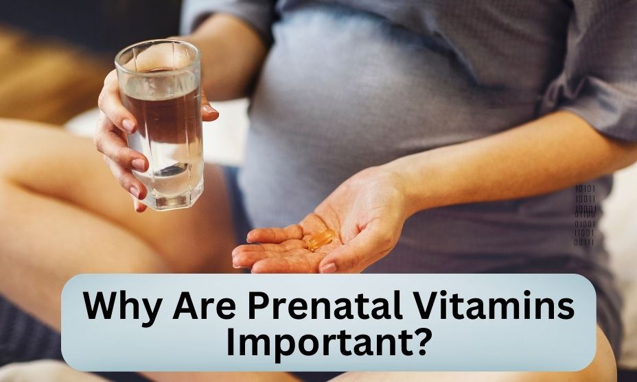 Why Are Prenatal Vitamins Important?