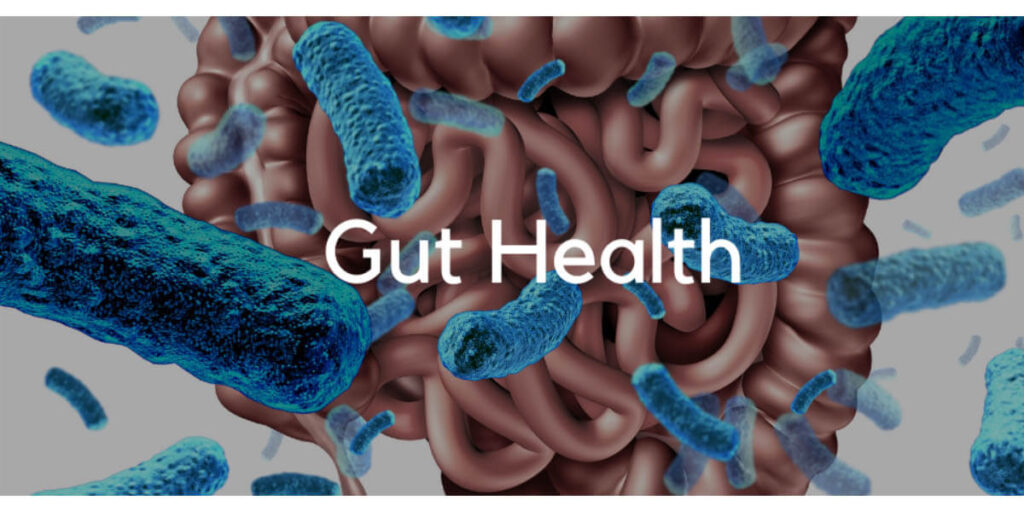 gut heath Science of Nutrition